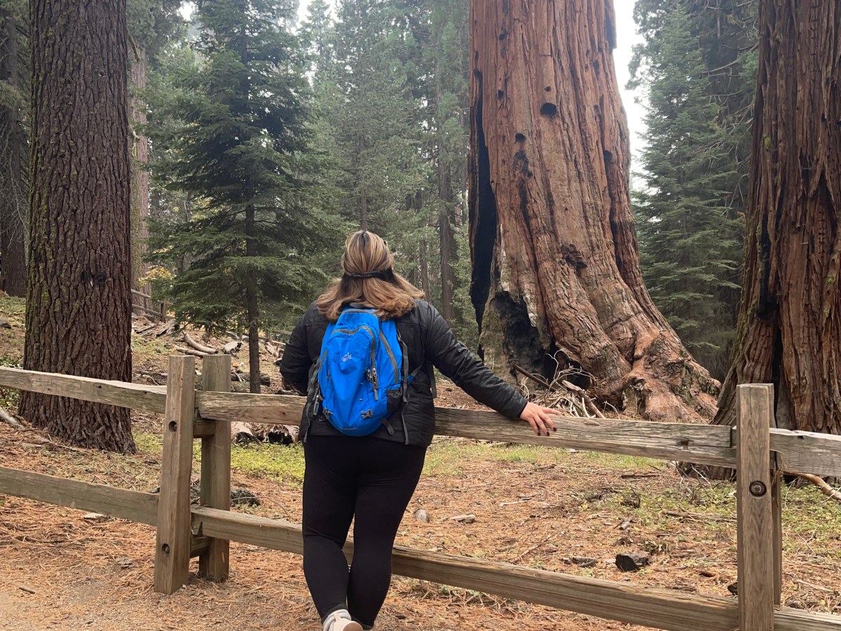 when silence speaks the&nbsp;loudest